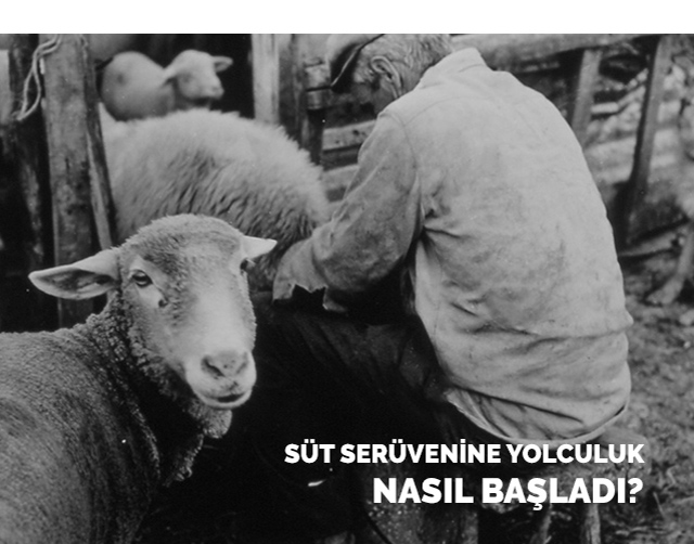 Hakkımızda